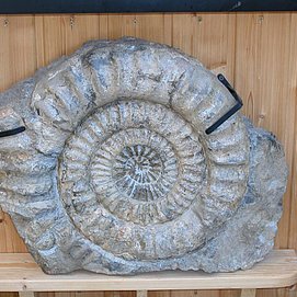 Privatmuseum Taben-Rodt (1)