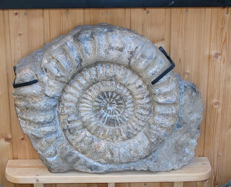 Privatmuseum Taben-Rodt (1)