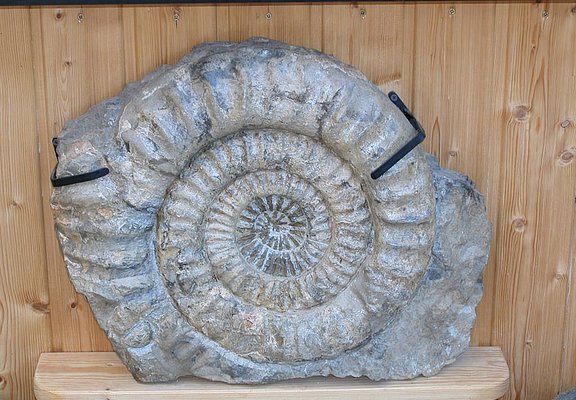 Privatmuseum Taben-Rodt (1)