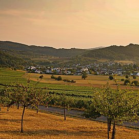 Blick auf Oberemmel