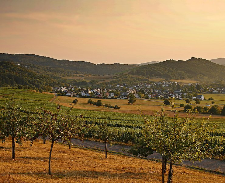 Blick auf Oberemmel