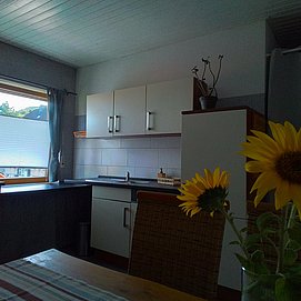 Haus Breser Wasserliesch (09)