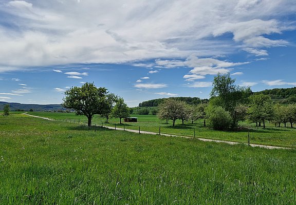 Radweg im Konzer Tälchen bei Obermennig