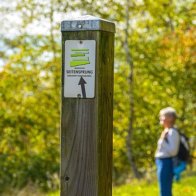 Foto: Karlskopf-Panoramaweg (4)