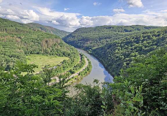 Saartal bei Taben