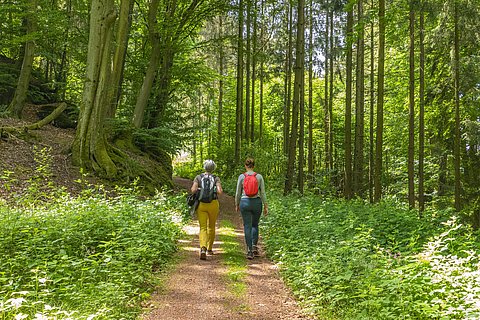 Wandern (1) Wandern (1)