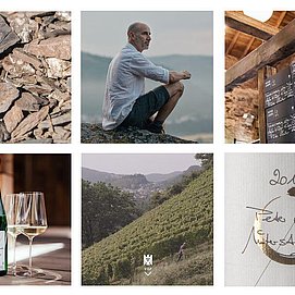 Jahrgangsverkostung im VDP Weingut Peter Lauer