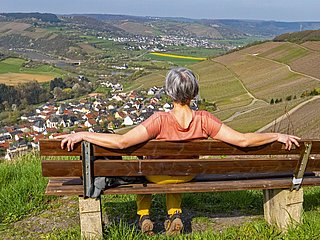 am Saar-Riesling-Steig