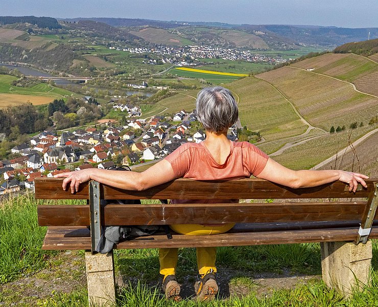am Saar-Riesling-Steig