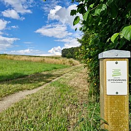 Konzer Höhenrunde: Wiese vor dem Wurzelweg