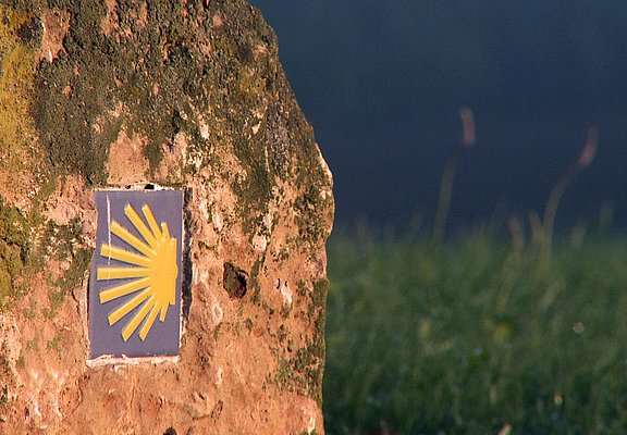 Wandern auf dem Jakobusweg (02)