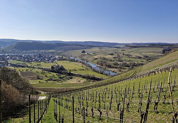 Schodener Herrenberg