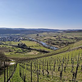 Schodener Herrenberg