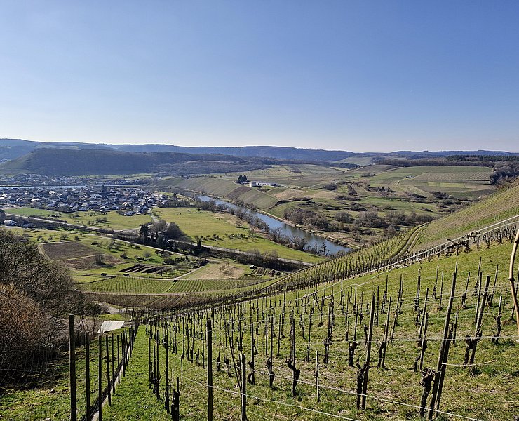 Schodener Herrenberg
