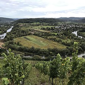 Wanderung zum Saarbogen