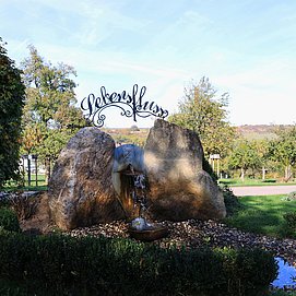 Lebensfluss in Fisch (01)