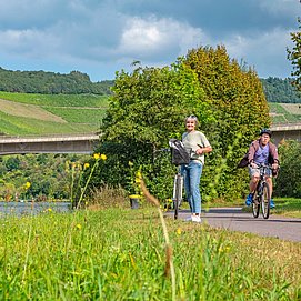 Saar-Radweg vor Ockfen