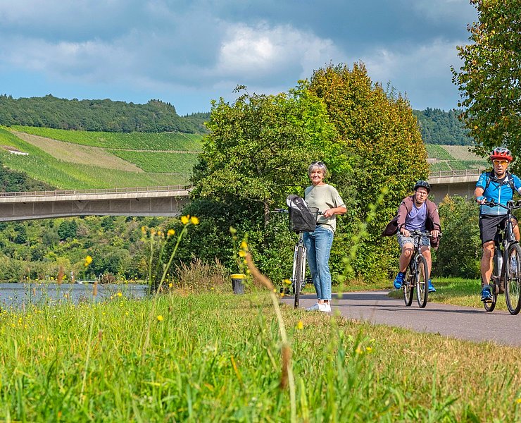 Saar-Radweg vor Ockfen