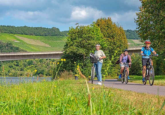Saar-Radweg vor Ockfen