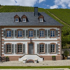 Gästehaus-Weingut Cantzheim (3)