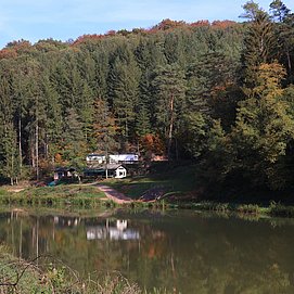 Angelweiher Trassem (2)