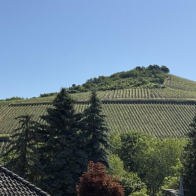 Foto: Ferienhaus Licht-Blick 9 (04)