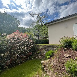 Ferienwohnung Am alten Apfelbaum (13)
