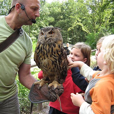 Foto: Greifvogelpark (1)