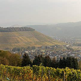 Ayler Kupp