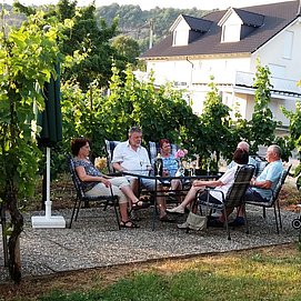 Weinlaube