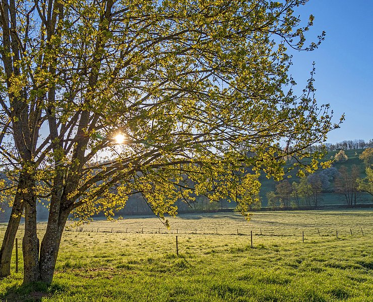Saargau (1)