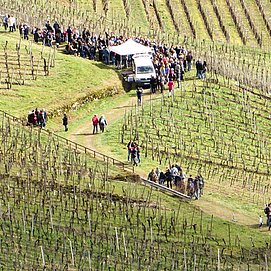 Weinlehrpfadfest (3)