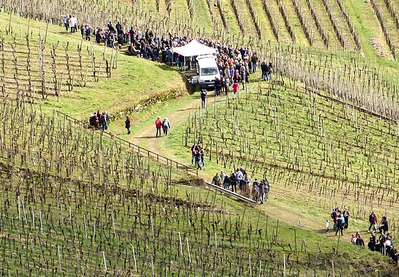 Weinlehrpfadfest (3)
