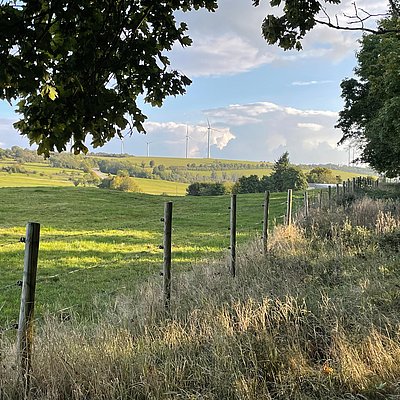Foto: Pellingen (1)