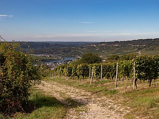 Kellertage Nittel (4)