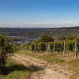 Kellertage Nittel (4)