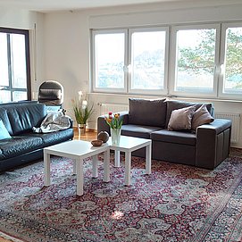 Ferienwohnung Alter Weinberg Saarburg (11)