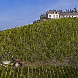 Schloss Saarstein