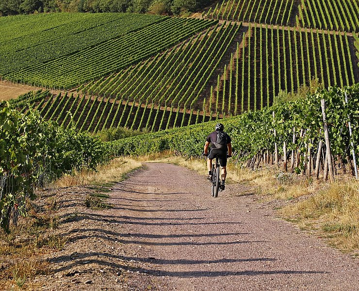 Radtour (2)