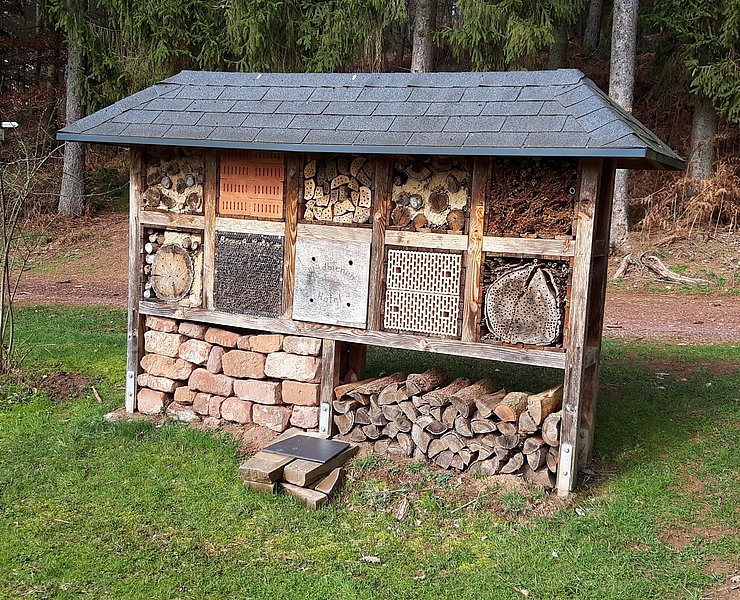 Insekten des Waldes (1)