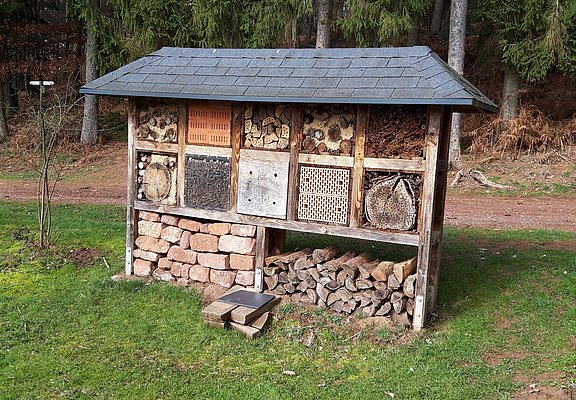 Insekten des Waldes (1)