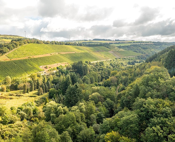 Ruwer-Hochwald-Radweg 5