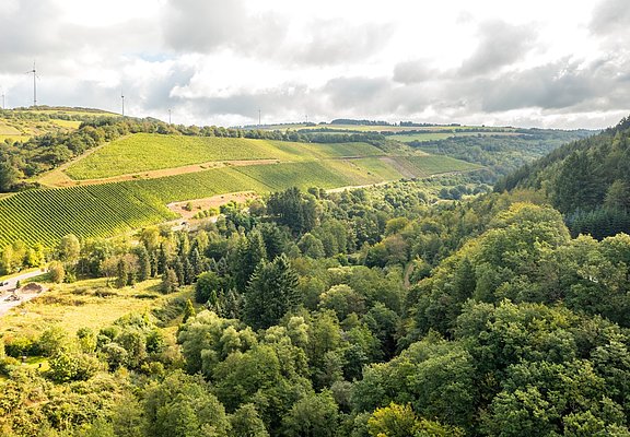 Ruwer-Hochwald-Radweg 5