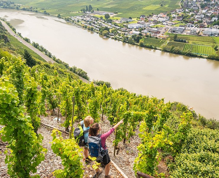 Blick auf die Mosel bei Mehring