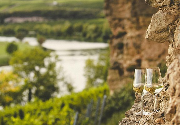 SAUERWEINS Weingut