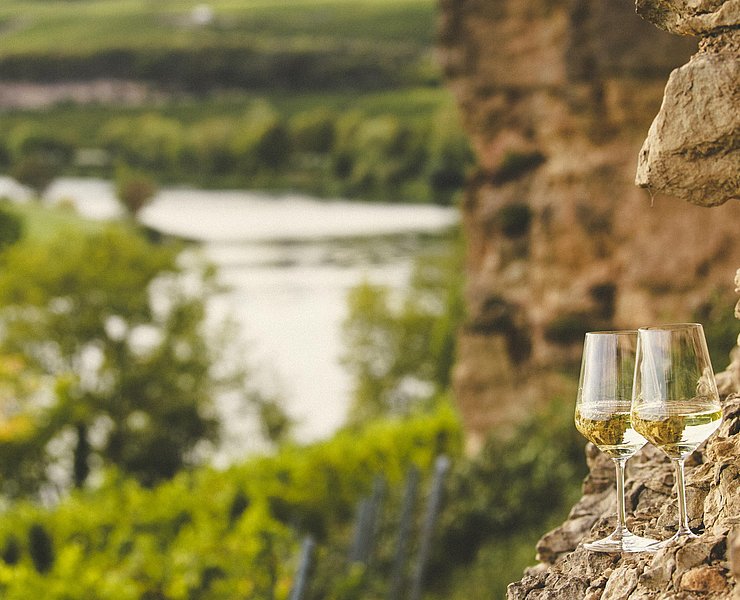 SAUERWEINS Weingut