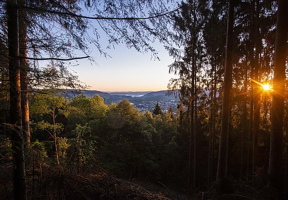 Aussichtspunkt mit Blick auf Saarburg (02)