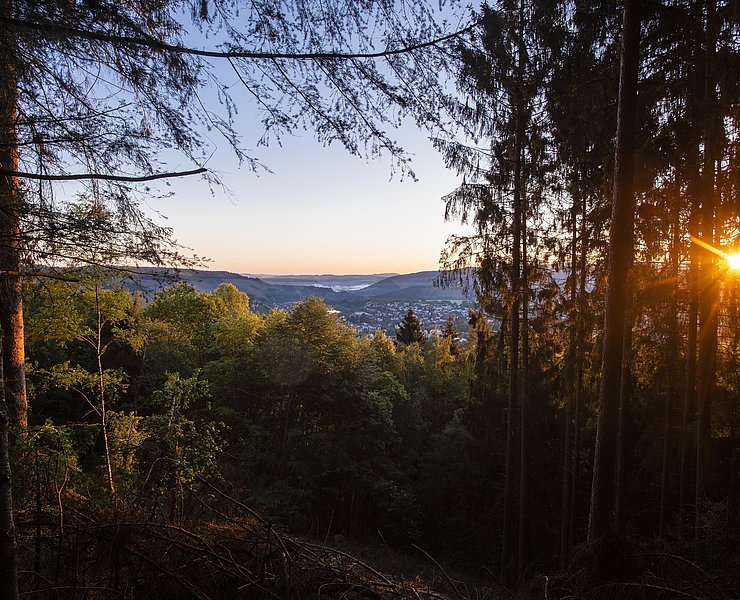 Aussichtspunkt mit Blick auf Saarburg (02)