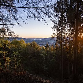 Aussichtspunkt mit Blick auf Saarburg (02)