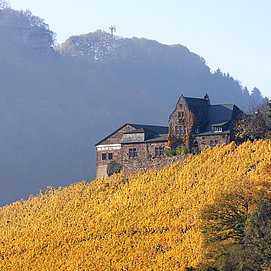 Weingut Würtzberg (4)